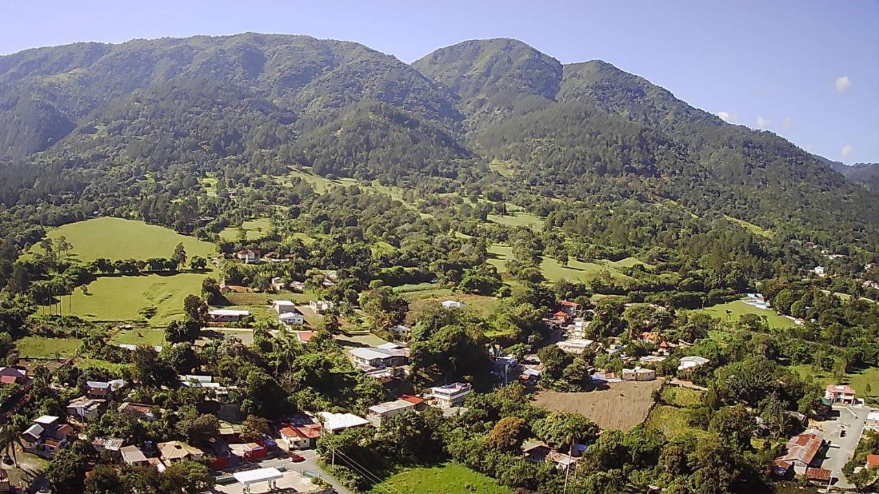 Villa La Grande جاراباكو المظهر الخارجي الصورة